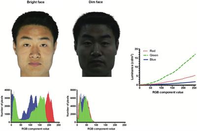 Incongruence in Lighting Impairs Face Identification
